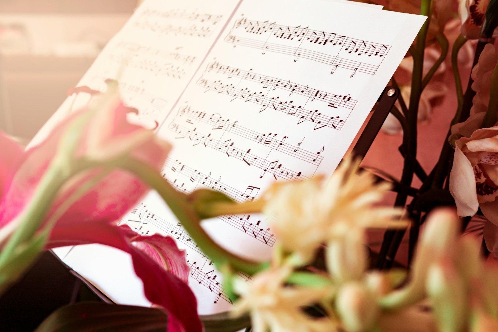 pink rose beside musical notes